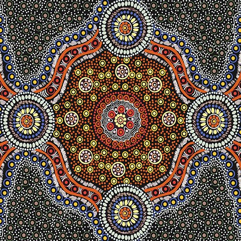Wild Bush Flowers black Australian Aboriginal fabric- designed by Layla Campbell