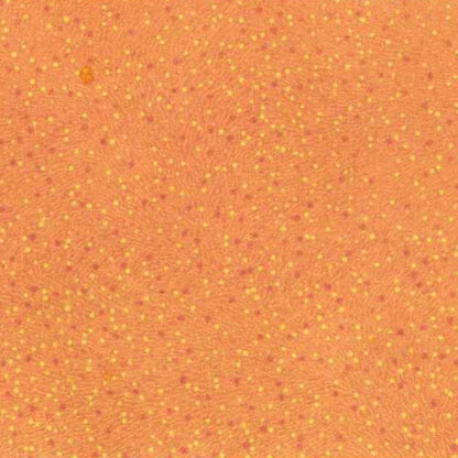 A close-up of a textured fabric featuring a warm orange base with a dense, repeating pattern of small yellow dots and subtle red accents.