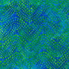 Dottie - Pond is a wavy design in blueberry-sized green bubbles on a blue background, stretching from selvedge to selvedge. 