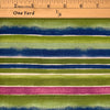 A stripe print design&nbsp; in of green, blue, pink and white.