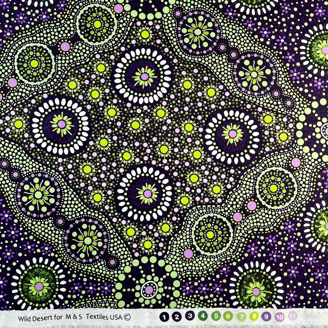Wild Desert Kiwi