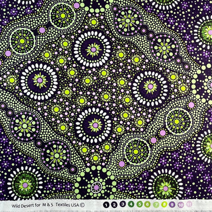 Wild Desert Kiwi