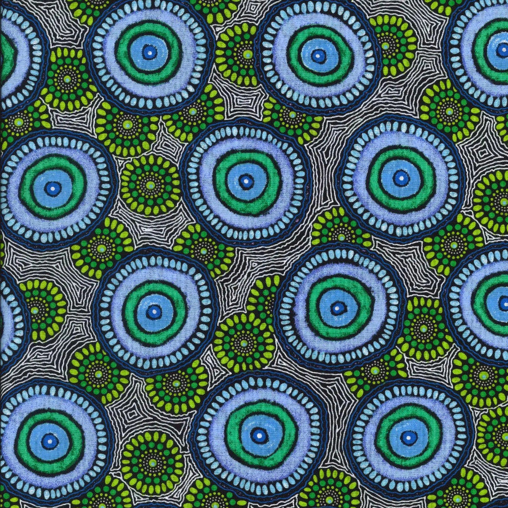 Sky blue circles surrounded by blue dots represent waterholes, lime green and emerald shapes and white lines between the waterholes on a black background complete the design.&nbsp;