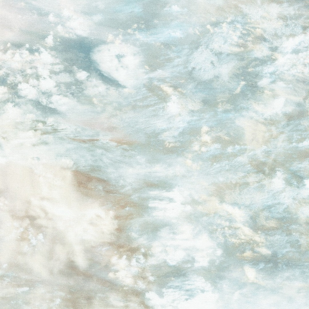 Earth Views - Oceans - Mist by Karen Nyberg