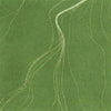 In Central Australia, sand hills created by wind are home to unique plant and animal species, depicted by Anna Pitjara using white dots against a green background to demonstrate the patterns formed by the wind's movement in the desert terrain near her hometown, Utopia.