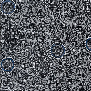 Wild Bush Flowers Dreaming, black, by Aboriginal artist Tanya Price, is a delicate line drawing of flowers in black and white, with a few blue flowers sprinkled in.