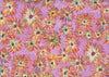 Aster-like flowers with orange, yellow and brown petals on a purple background