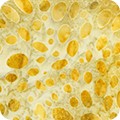 Indonesian Cotton Batik Daybreak - Maize