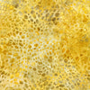 100 % cotton Patina fabric was dyed by talented artisans to make it look like freshly shucked corn or the spots on a cheetah