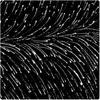 Dropping Seeds Black - Designed by Roseanne Morton