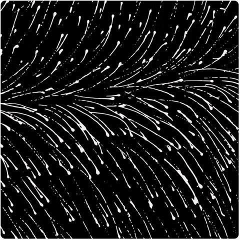 Dropping Seeds Black - Designed by Roseanne Morton