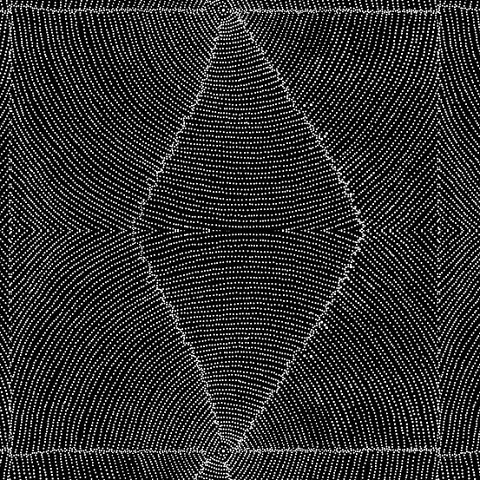 Plum Seeds Black Australian Aboriginal Fabric by Kathleen Pitjara depicts  a cut-open Bush Plum where the white seeds are neatly arranged in a circles around the middle pit with a black background